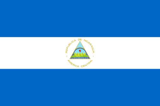 Nicaragua Maragogype